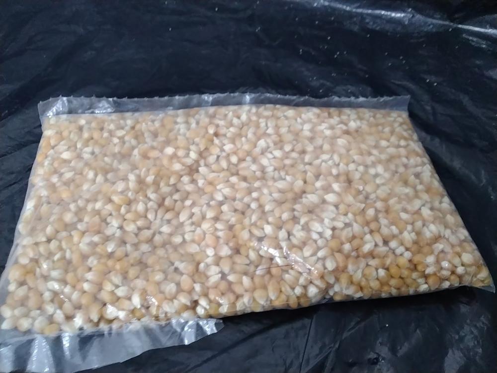Maíz Palomero 1/2 kg