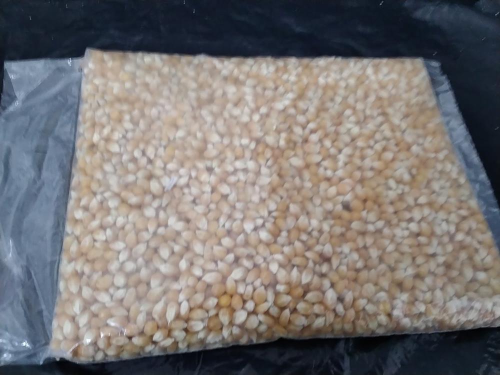 Maíz Palomero 1 kg