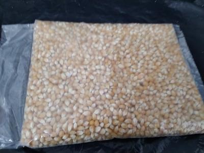 Maíz Palomero 1 kg