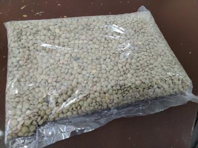 Lenteja 1/2 Kilo